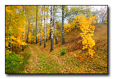 осенние пейзажи